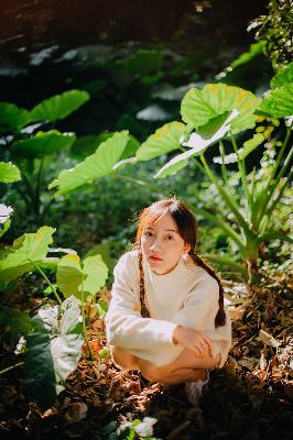 五姑娘影院电影免费播放